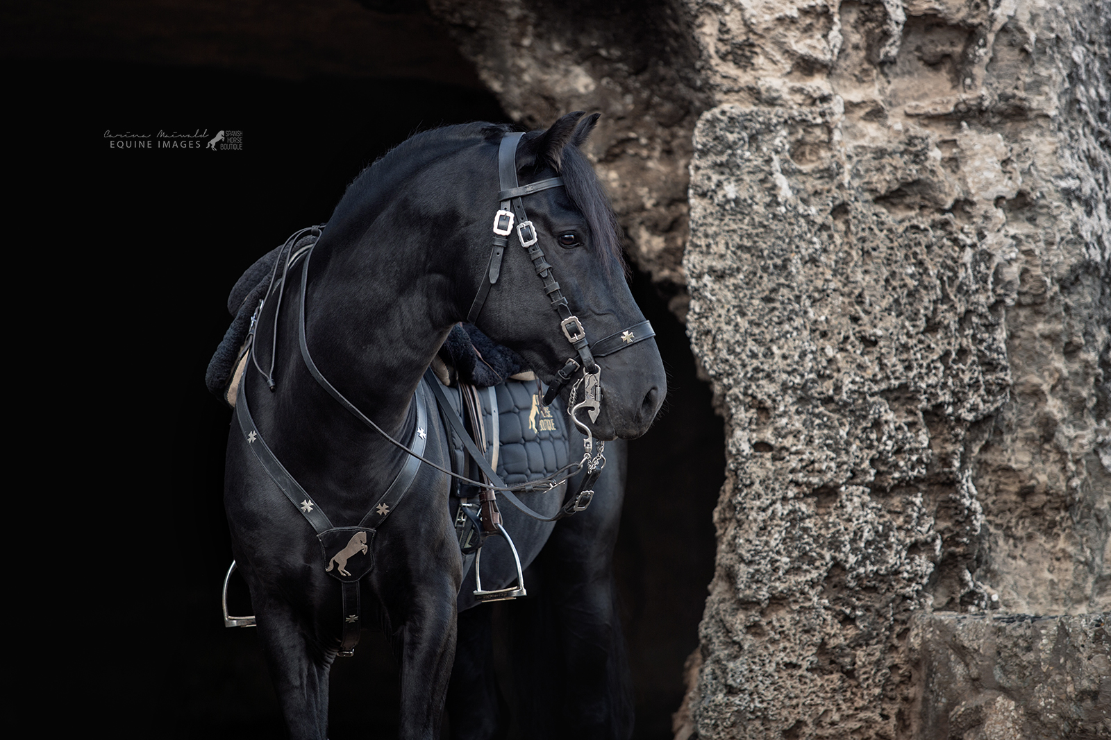 spanish saddle